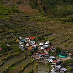 Rice terraces