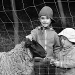 ..za (před)drátěným plotem..