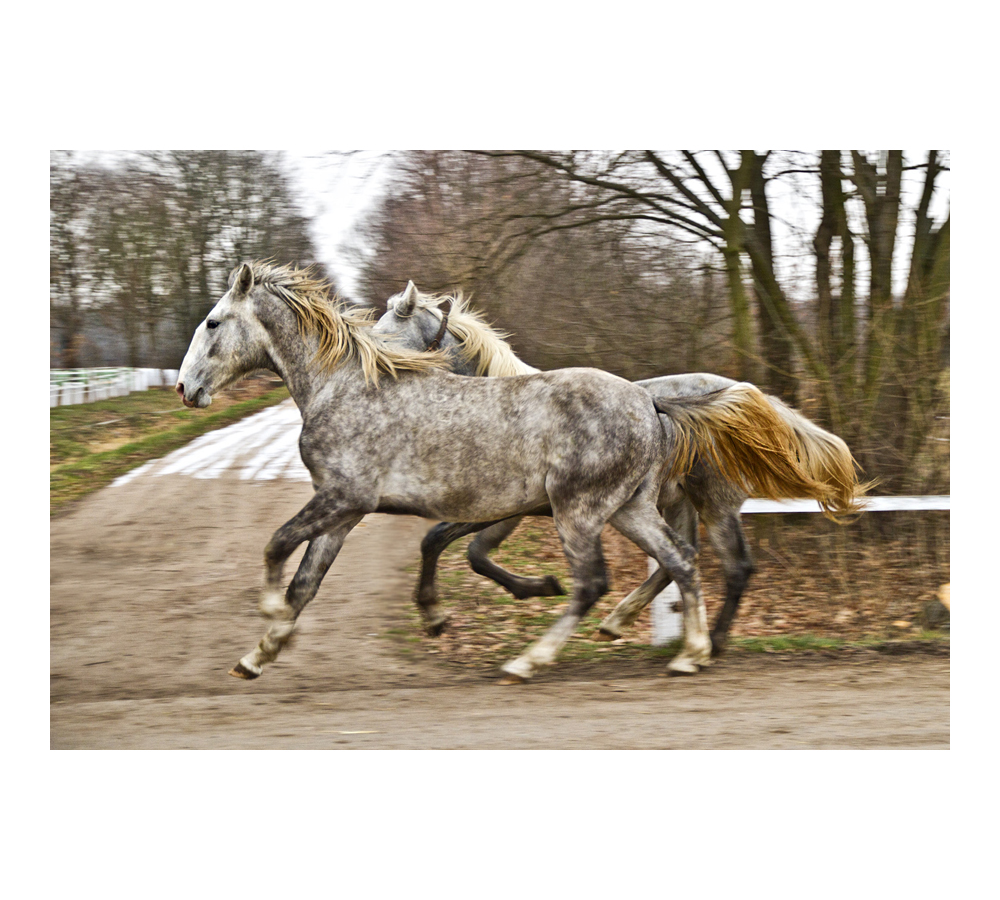 domů