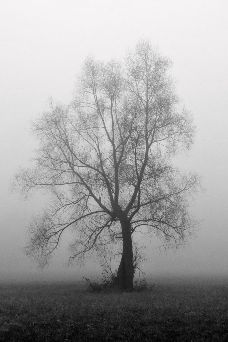 Osamělý