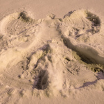 ..zimní autoportrét..