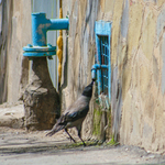 este ze ten ventil netesni...