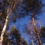 Na lednové procházce