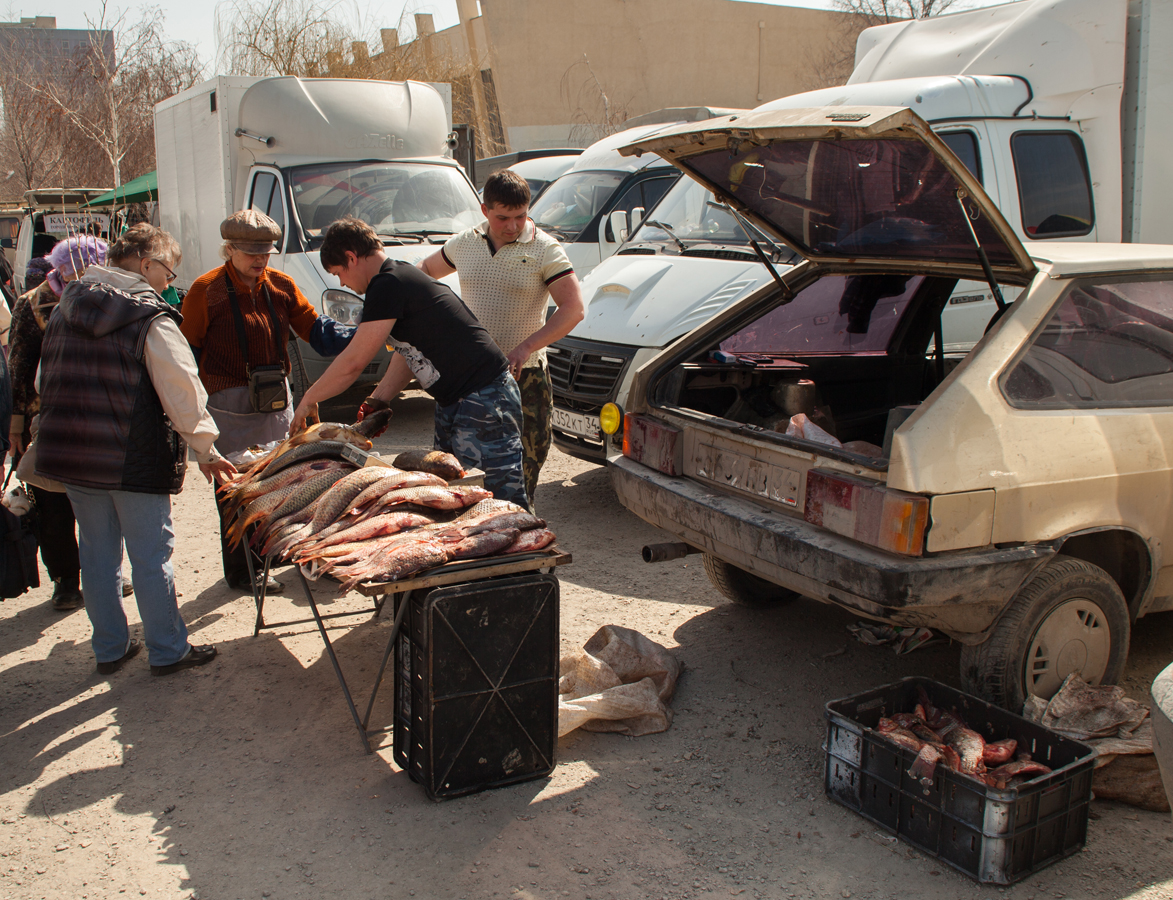 ryby rinok volgograd
