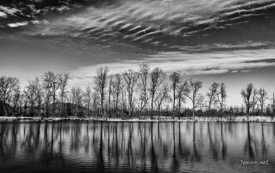 Cernobila krajinka pro Dogwood foto čelindž