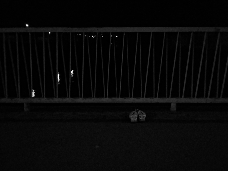 z posledni prochazky