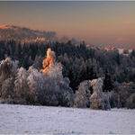 Podvečer