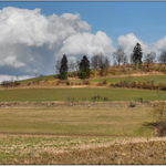 Předjaří u nás .....