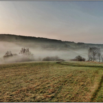 Předjaří u nás .....II