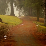lesom ... II