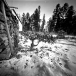 Svetla a tiene zimy I