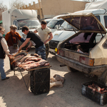 ryby rinok volgograd