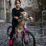 Anna z Neapole...