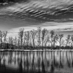 Cernobila krajinka pro Dogwood foto čelindž