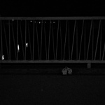 z posledni prochazky