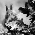 Podzim na Štěpánce