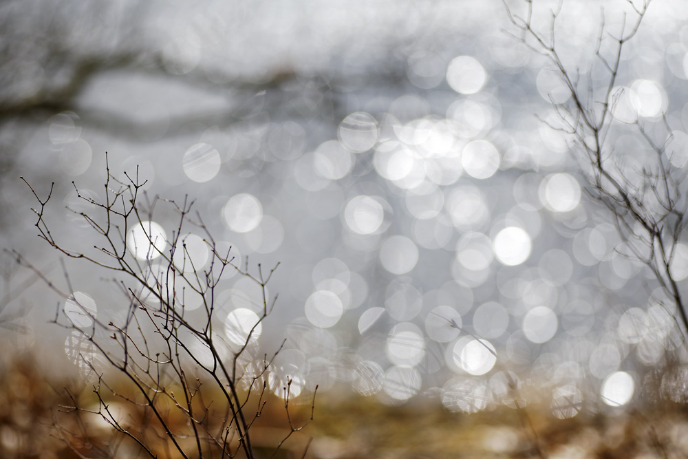 jaro tři po dvacátédeváté...