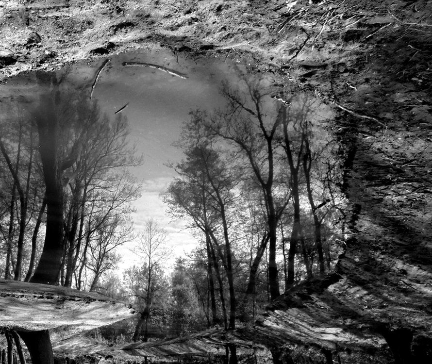 Jedna obyčejná louže