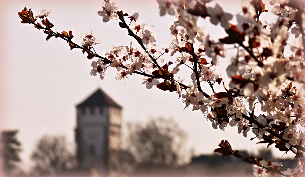 do roka a do dňa :)