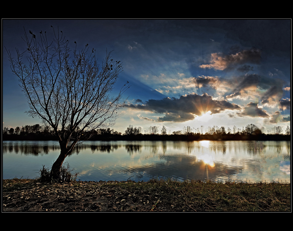 ...paprsky,strom a voda...