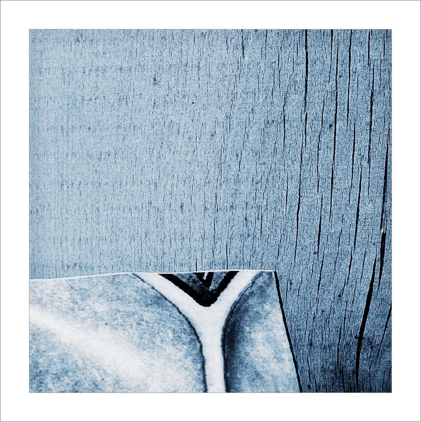 už nikdy neporoste do nebes