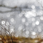 jaro tři po dvacátédeváté...