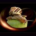 Už se motá feťák....