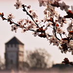 do roka a do dňa :)