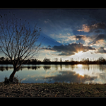 ...paprsky,strom a voda...