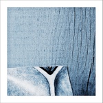 už nikdy neporoste do nebes