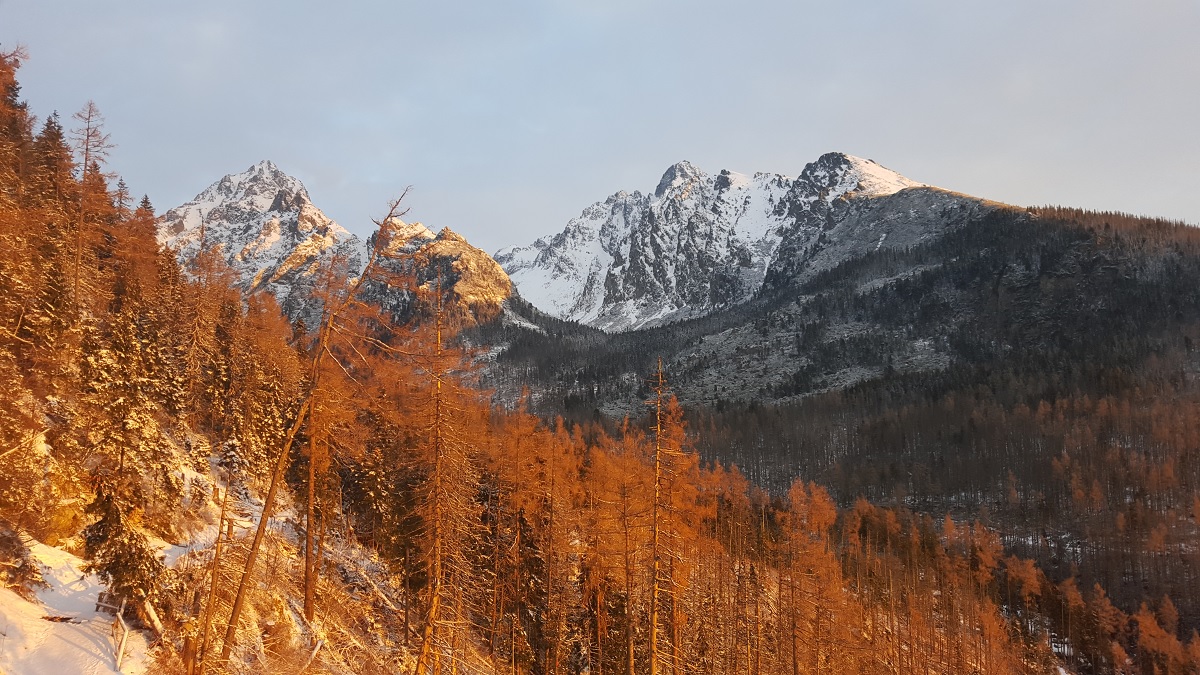 Tatry