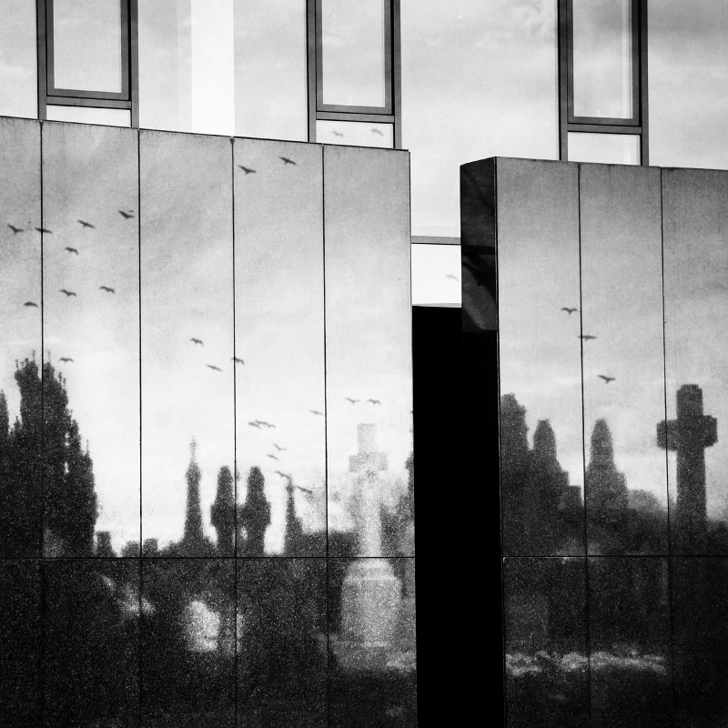 Glasnevin Cemetery II