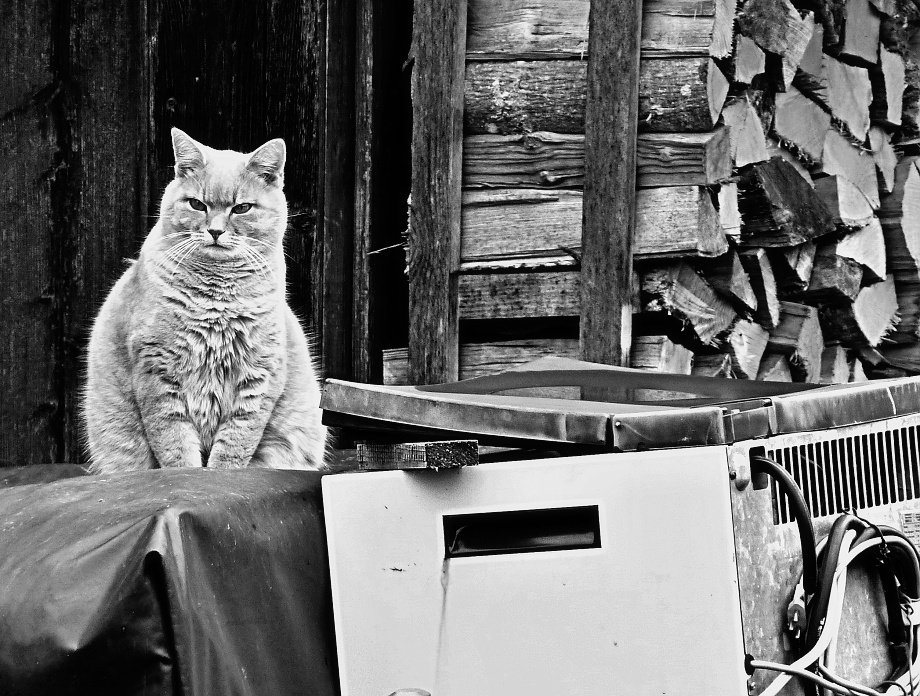 ten opravár nejako mešká!