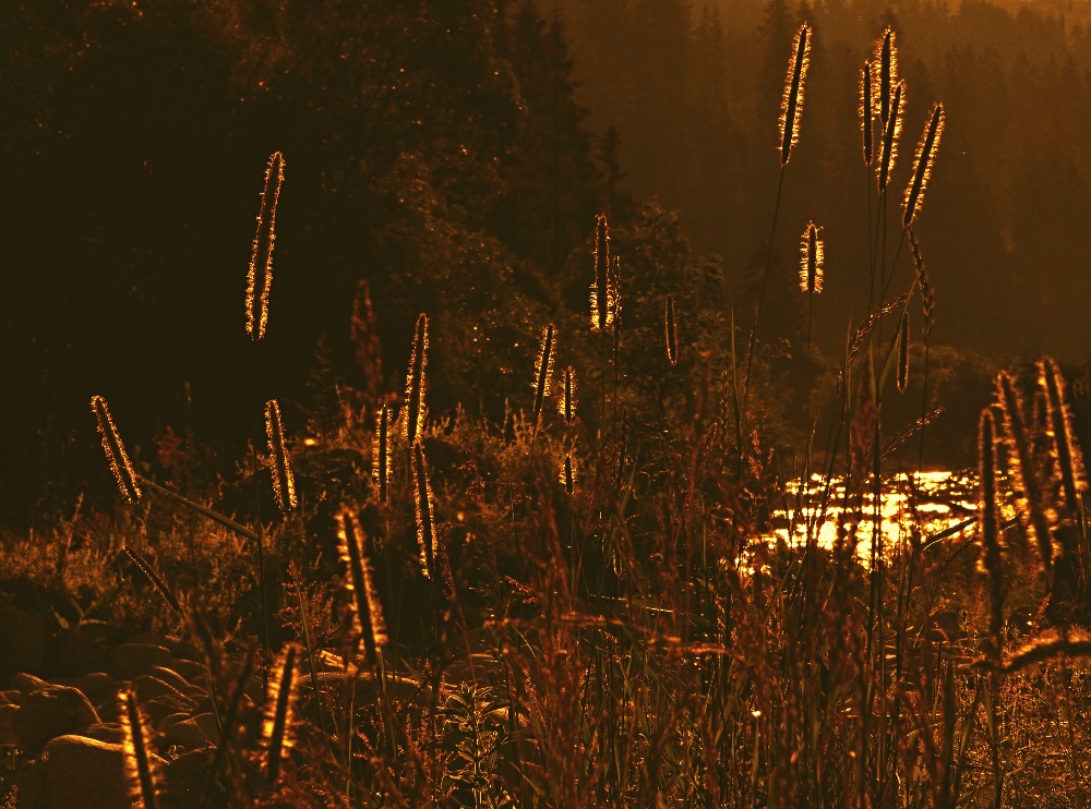 kde potok zurčí...