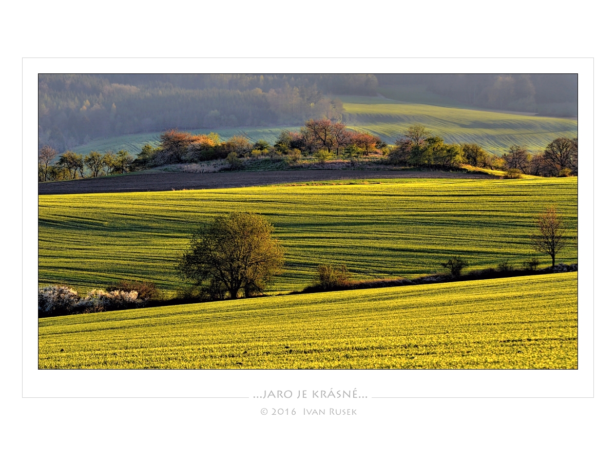 ...jaro je krásné...