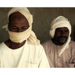 překupníci velbloudů