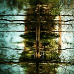 V krajině za zrcadlem