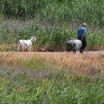 na pase vo volgograde