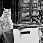 ten opravár nejako mešká!