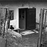 v dolináách ľudia nemajú zamknuté brány..II