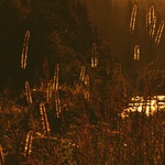 kde potok zurčí...