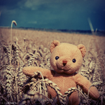 Propagujem usmievavého medveďa