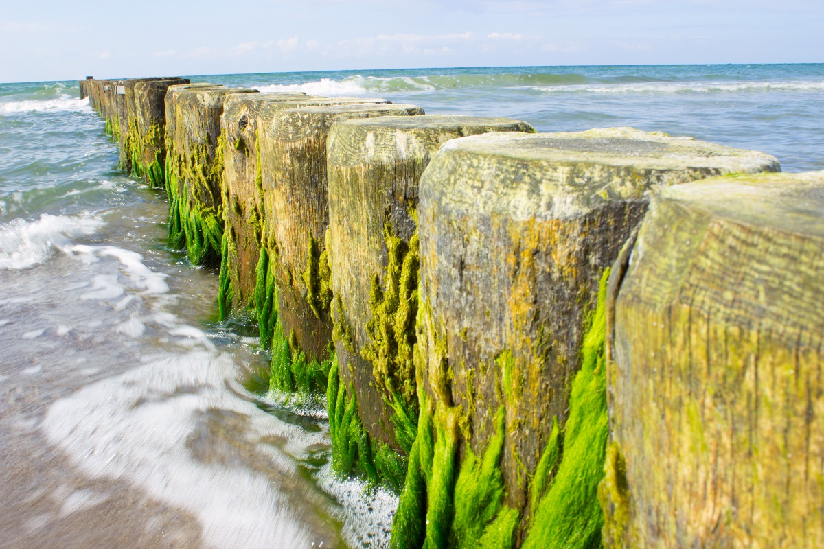 Ostsee