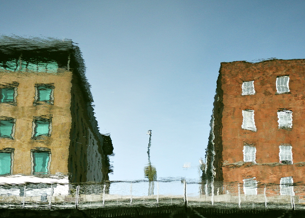 Jak jsem v Dublinu potkala pštrosa