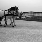 Schönbrunn