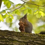 šištička k snídani 2