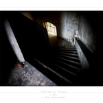 ...rekviem za vlněnu...(XI)