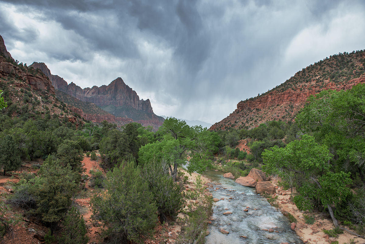 ..Zion NP..