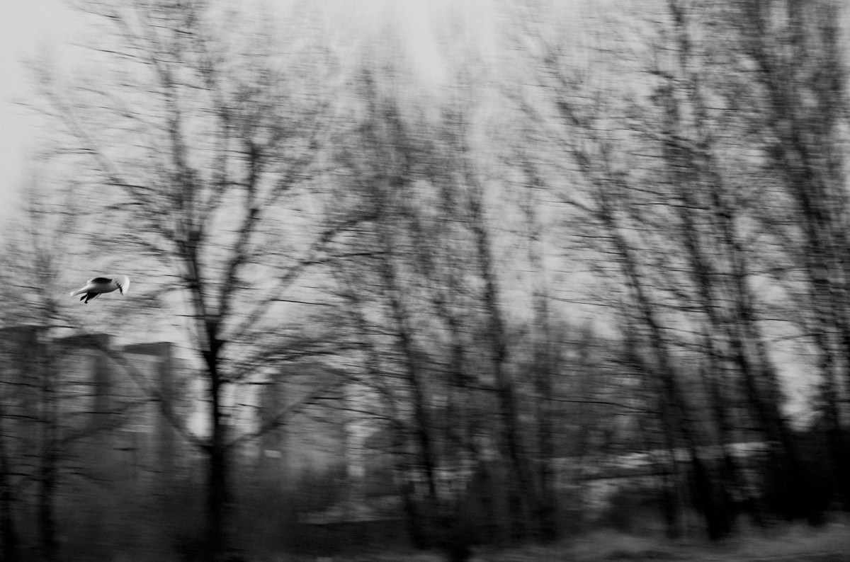 sídlisková melanchólia