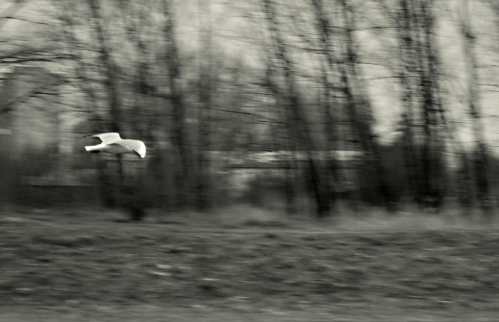 sídlisková melanchólia 2